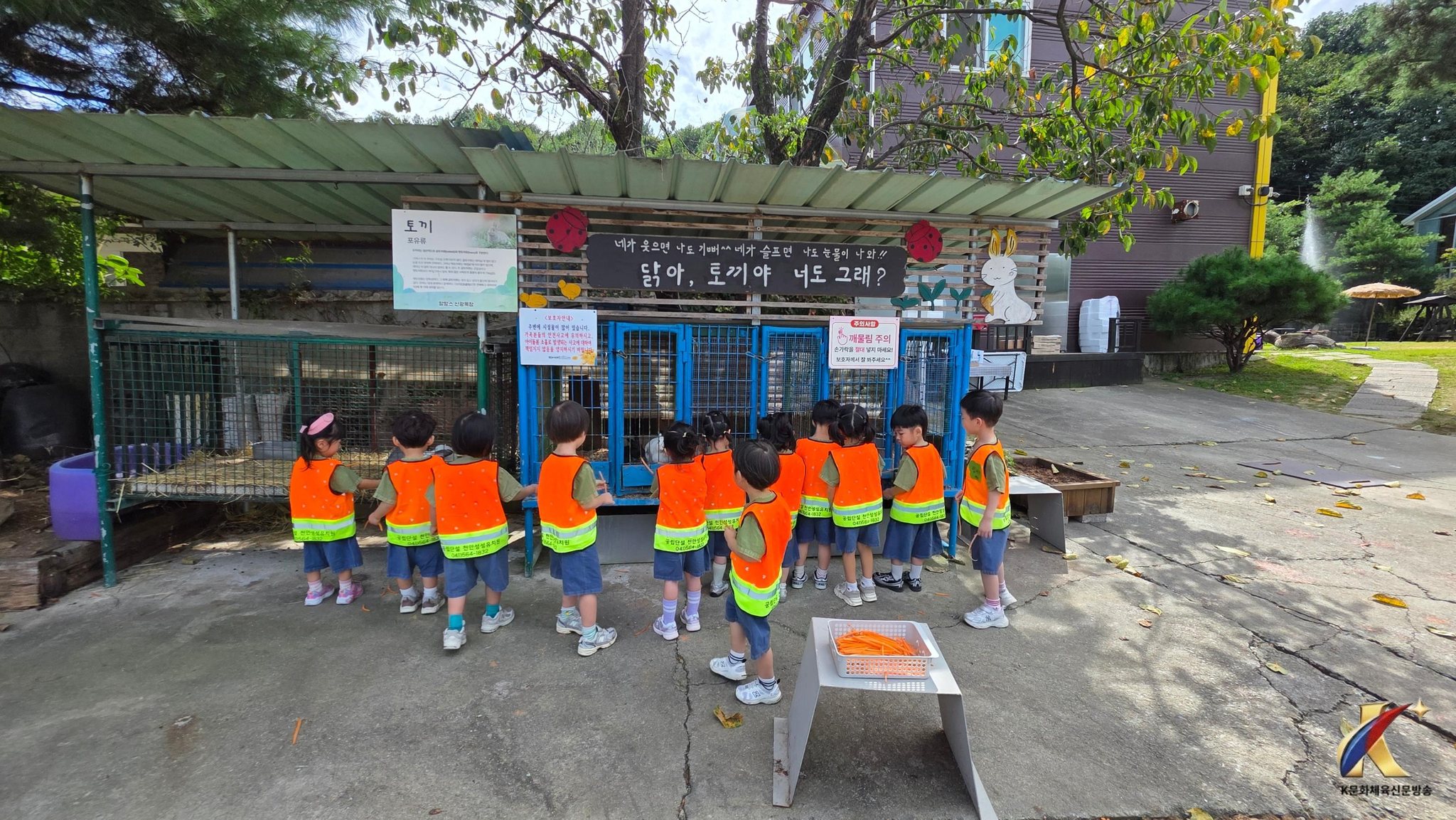 본문사진
